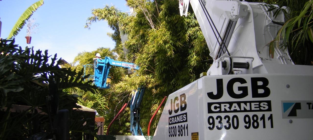 Assisting Living Iron at Perth Zoo